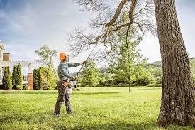 Best Tree Mulching  in Hidden Hills, CA